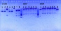 Thumbnail for version as of 14:25, 12 September 2014