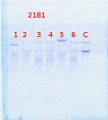 Thumbnail for version as of 12:05, 11 April 2014