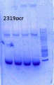 Thumbnail for version as of 13:16, 19 September 2014