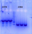 Thumbnail for version as of 15:25, 26 November 2014