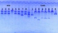 Thumbnail for version as of 11:02, 19 May 2014