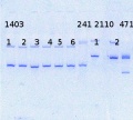 Thumbnail for version as of 11:33, 10 June 2014