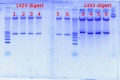 Thumbnail for version as of 13:35, 1 November 2012