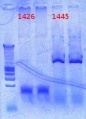 Thumbnail for version as of 15:41, 14 November 2012