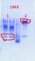 Thumbnail for version as of 10:11, 20 December 2013