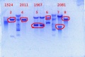 Thumbnail for version as of 17:11, 7 March 2014