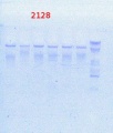 Thumbnail for version as of 15:06, 28 March 2014