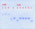 Thumbnail for version as of 15:48, 5 May 2014
