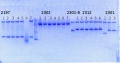 Thumbnail for version as of 12:24, 22 August 2014