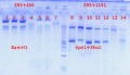 Thumbnail for version as of 15:41, 9 August 2012