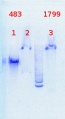 Thumbnail for version as of 13:33, 29 July 2013