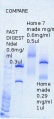 Thumbnail for version as of 15:22, 30 September 2013