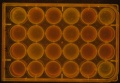 Thumbnail for version as of 13:44, 1 April 2016