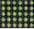 Thumbnail for version as of 13:42, 1 April 2016
