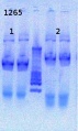 Thumbnail for version as of 14:50, 25 April 2013