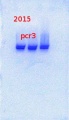 Thumbnail for version as of 15:33, 28 February 2014