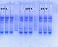 Thumbnail for version as of 12:54, 22 August 2014
