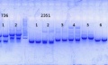Thumbnail for version as of 14:26, 13 October 2014