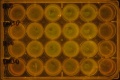 Thumbnail for version as of 17:53, 1 August 2016