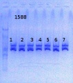 Thumbnail for version as of 11:47, 10 June 2014