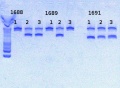 Thumbnail for version as of 16:02, 25 February 2013