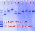 Thumbnail for version as of 15:37, 30 March 2015