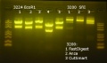 Thumbnail for version as of 13:29, 30 May 2018
