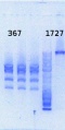 Thumbnail for version as of 15:44, 25 October 2013