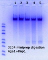 Thumbnail for version as of 14:15, 20 June 2018