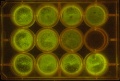 Thumbnail for version as of 18:08, 18 February 2014