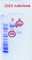 Thumbnail for version as of 11:30, 25 April 2012