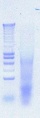Thumbnail for version as of 09:44, 25 June 2012