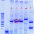 Thumbnail for version as of 14:32, 24 August 2012