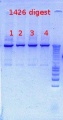 Thumbnail for version as of 14:01, 4 December 2012
