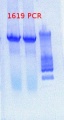 Thumbnail for version as of 13:26, 19 April 2013
