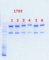 Thumbnail for version as of 16:17, 7 August 2013
