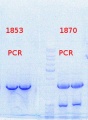 Thumbnail for version as of 16:46, 18 October 2013