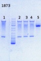 Thumbnail for version as of 12:37, 28 October 2013