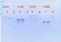 Thumbnail for version as of 14:29, 23 April 2014