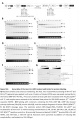Thumbnail for version as of 17:24, 10 August 2014