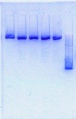 Thumbnail for version as of 16:16, 16 October 2013