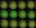 Thumbnail for version as of 15:14, 25 April 2011