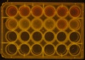 Thumbnail for version as of 09:48, 7 April 2016