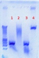 Thumbnail for version as of 15:50, 19 July 2012