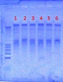 Thumbnail for version as of 16:04, 20 August 2012