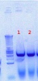 Thumbnail for version as of 16:51, 12 July 2012