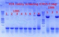 Thumbnail for version as of 14:35, 10 October 2012