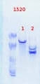 Thumbnail for version as of 13:15, 10 March 2014