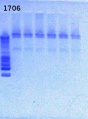 Thumbnail for version as of 14:56, 25 March 2013