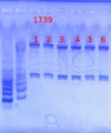 Thumbnail for version as of 14:07, 9 May 2013
